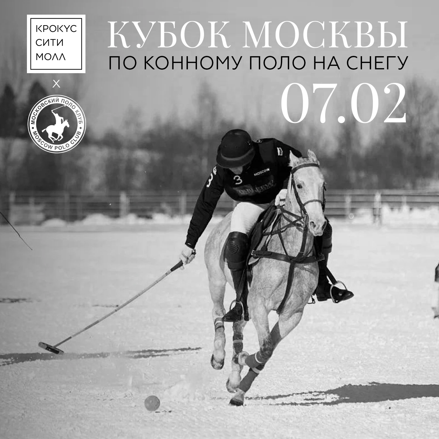 Турнир по конному поло на снегу