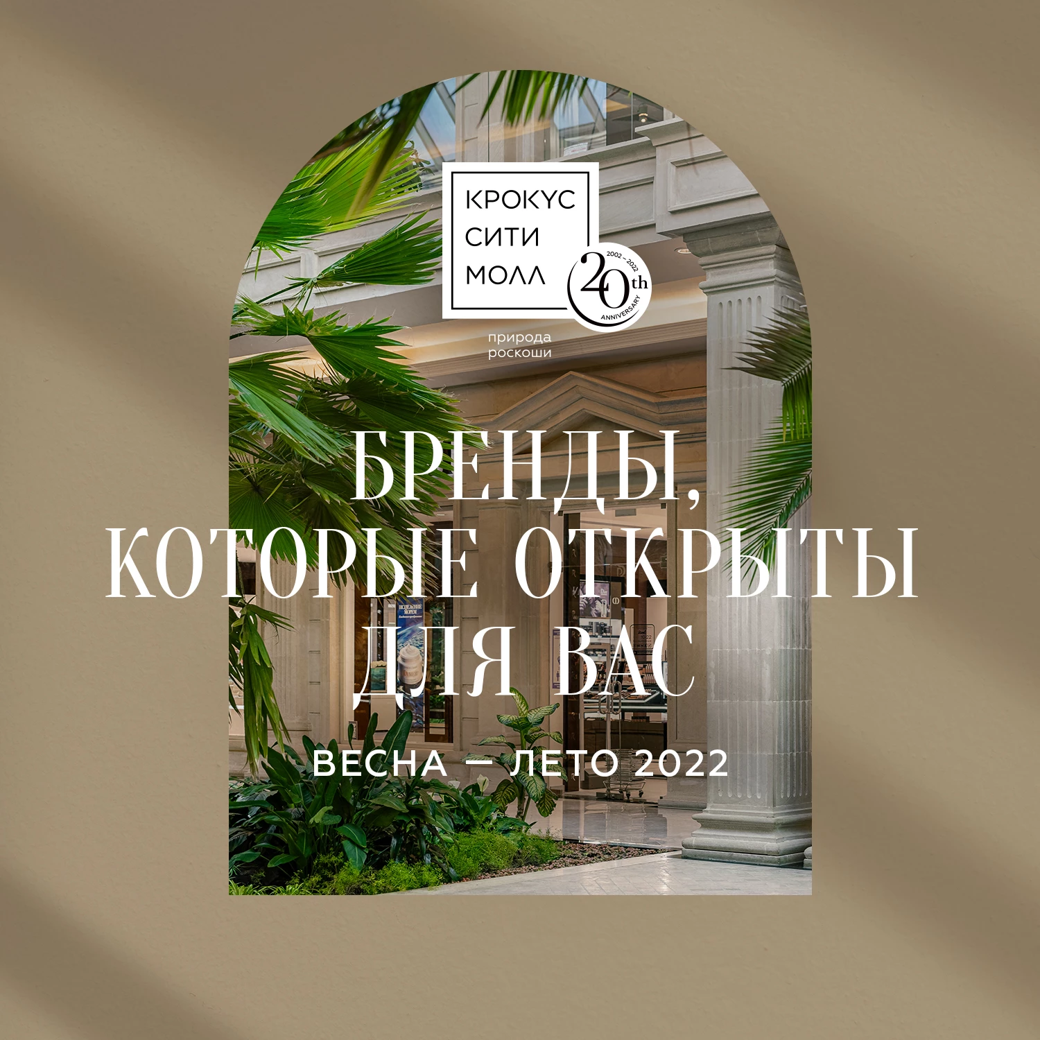  Красивый шопинг продолжается